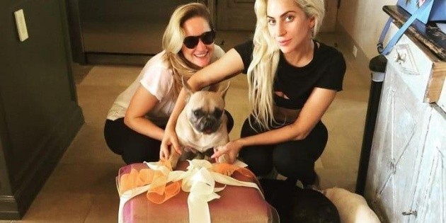  Lady Gaga: Secuestradora de los perros de la cantante la demanda ¡por no pagar recompensa!